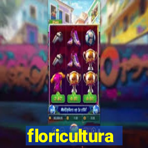 floricultura juazeiro bahia